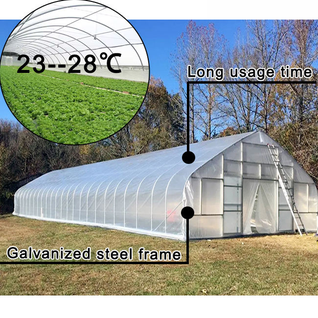 8x30m PE Agriculture Tomato plants Green house Frames Plastic Film Single Span Tunnel Greenhouses