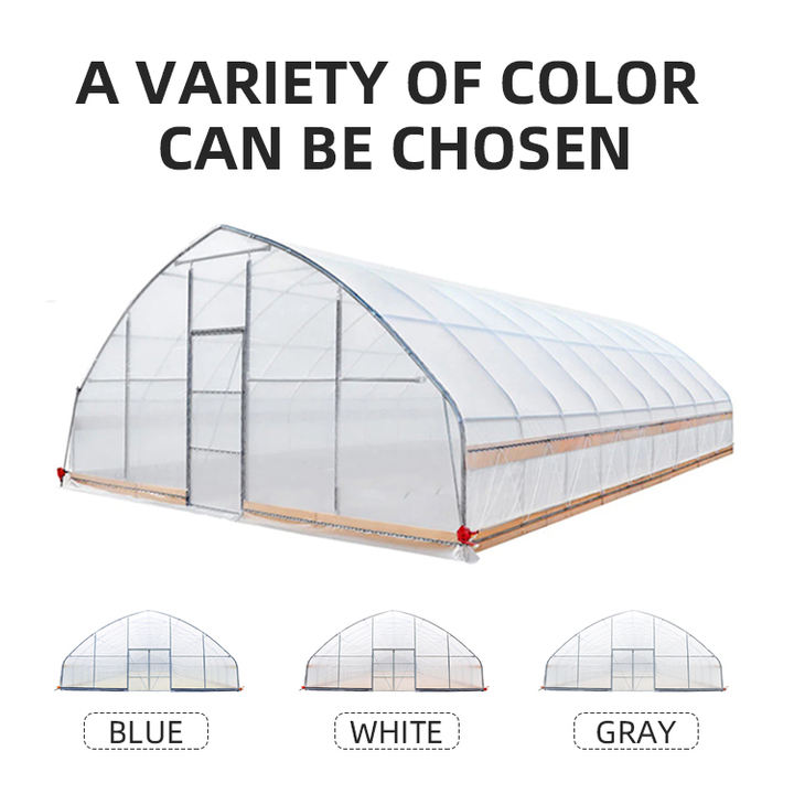 8x30m PE Agriculture Tomato plants Green house Frames Plastic Film Single Span Tunnel Greenhouses