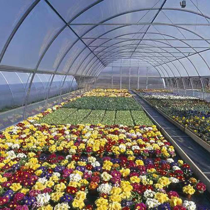 8x30m PE Agriculture Tomato plants Green house Frames Plastic Film Single Span Tunnel Greenhouses