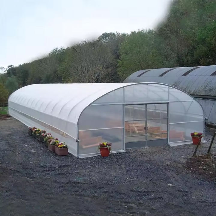 8x30m PE Agriculture Tomato plants Green house Frames Plastic Film Single Span Tunnel Greenhouses