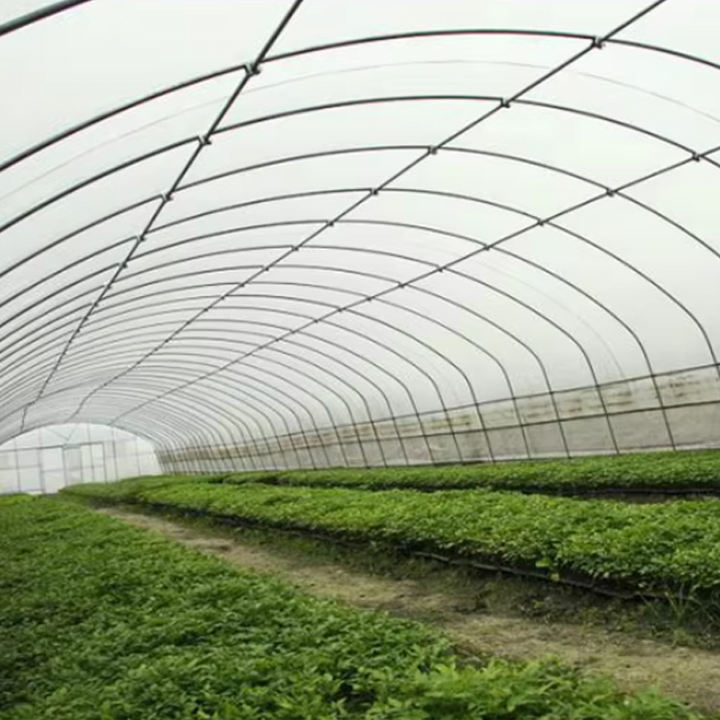 8x30m PE Agriculture Tomato plants Green house Frames Plastic Film Single Span Tunnel Greenhouses