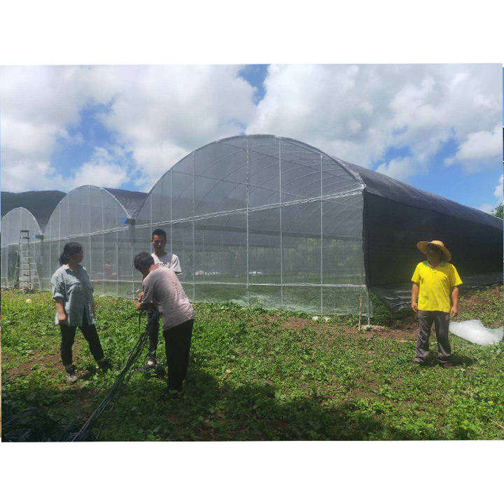 Agricultural Commercial Fruits Drying Single Tunnel Small Solar Heater Greenhouse Solar Dryer Polycarbonate Greenhouse