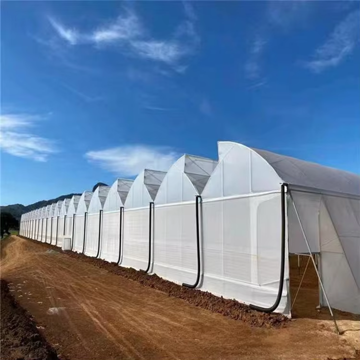 Agricultural Commercial Fruits Drying Single Tunnel Small Solar Heater Greenhouse Solar Dryer Polycarbonate Greenhouse