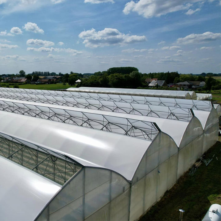 Agricultural Commercial Fruits Drying Single Tunnel Small Solar Heater Greenhouse Solar Dryer Polycarbonate Greenhouse