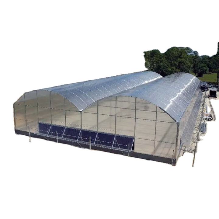 Agricultural Commercial Greenhouse Intelligent Multi-Span Greenhouse tomatoes hydroponic multi span greenhouse