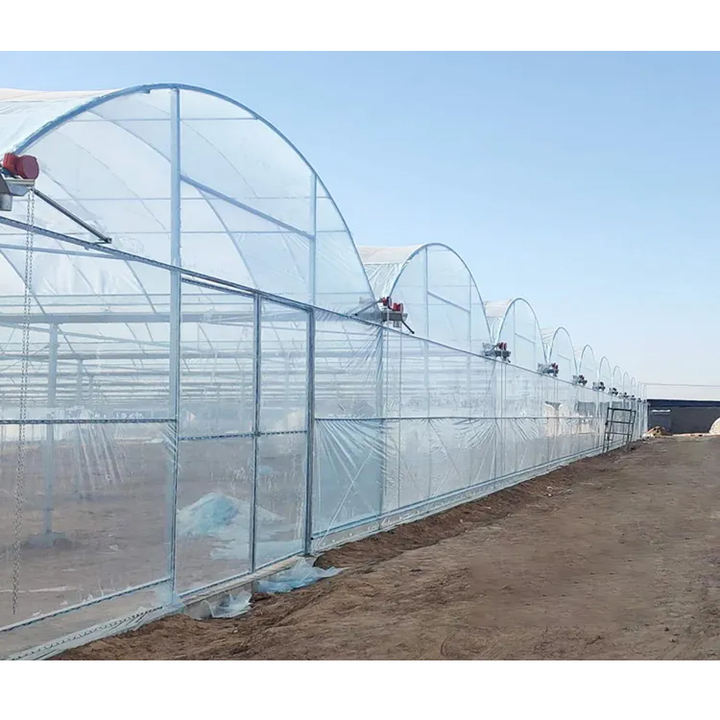 Agricultural  Greenhouse vegetable greenhouse hoop green house Commercial Economic Tunnel Plastic Film Tomato Greenhouse