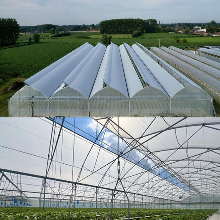 Agricultural Multi-span Plastic Film Greenhouse for Hydroponic System Galvanized Frame Polycarbonate Sheet Covered Tomatoes