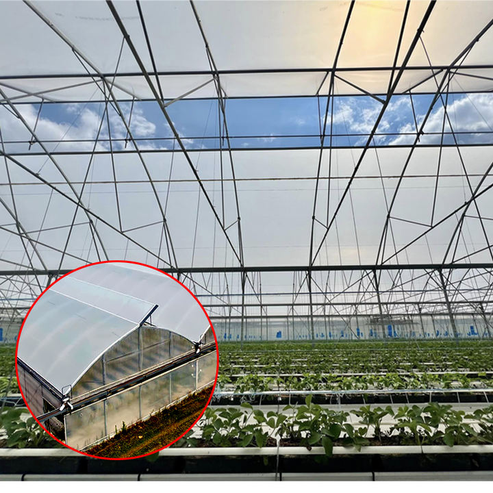 Agricultural Multi-span Plastic Film Greenhouse for Hydroponic System Galvanized Frame Polycarbonate Sheet Covered Tomatoes