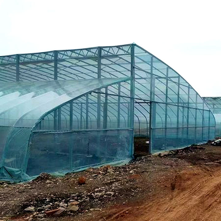 Agricultural Multi-span Plastic Film Greenhouse for Hydroponic System Galvanized Frame Polycarbonate Sheet Covered Tomatoes