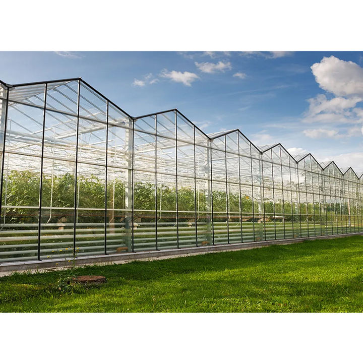 Agricultural commercial aquaculture greenhouse Large Size High Tunnel Agricultural Greenhouse For Tomato glass greenhouse