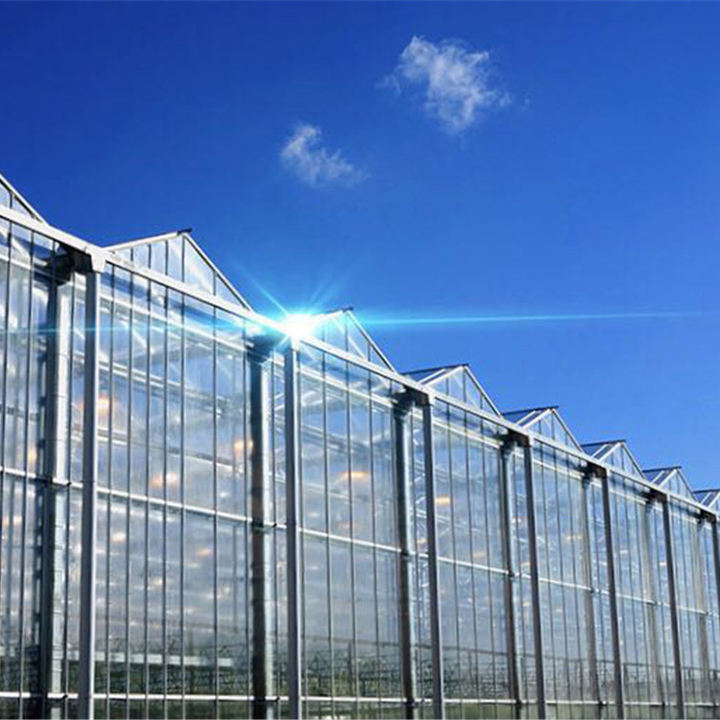 Agricultural commercial aquaculture greenhouse Large Size High Tunnel Agricultural Greenhouse For Tomato glass greenhouse