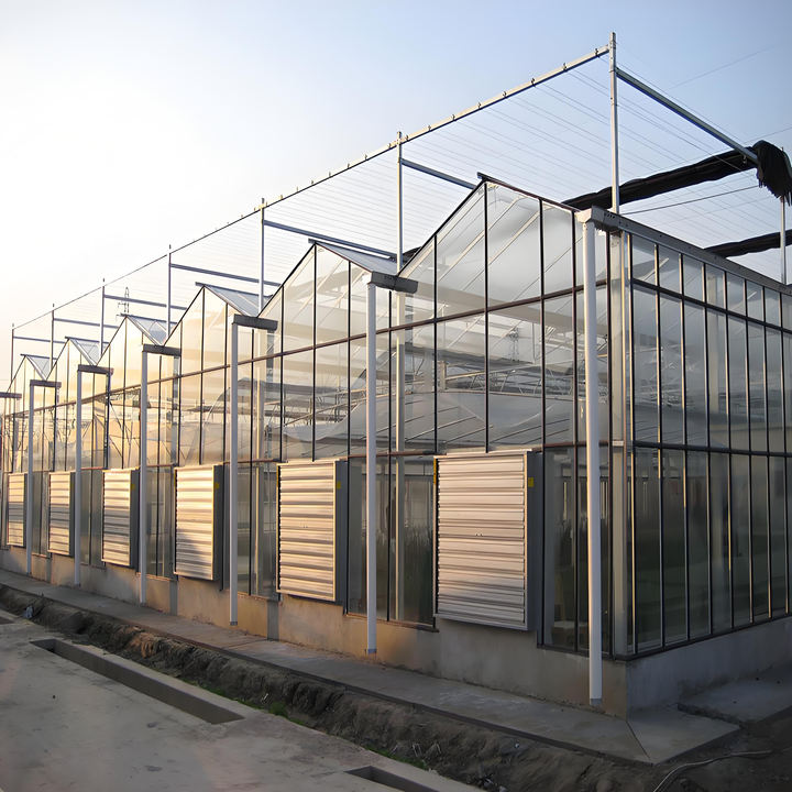 Agricultural commercial aquaculture greenhouse Large Size High Tunnel Agricultural Greenhouse For Tomato glass greenhouse