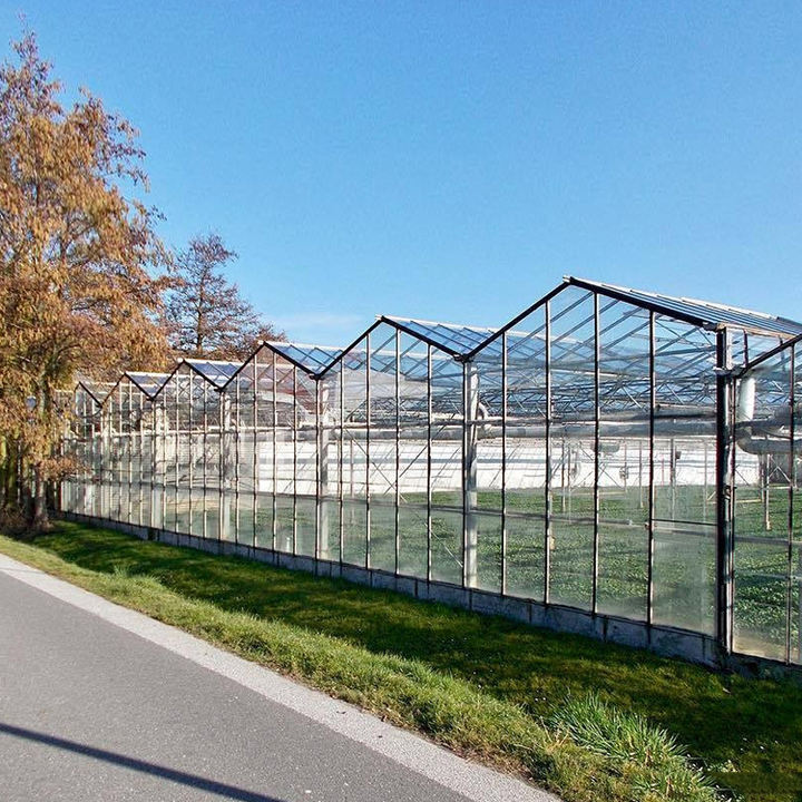 Agricultural commercial aquaculture greenhouse Large Size High Tunnel Agricultural Greenhouse For Tomato glass greenhouse