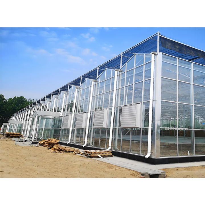 Agricultural  commercial  greenhouse Large Size multi-span  agricultural Greenhouse For Tomato glass  greenhouse