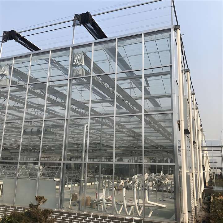 Agricultural  commercial  greenhouse Large Size multi-span  agricultural Greenhouse For Tomato glass  greenhouse