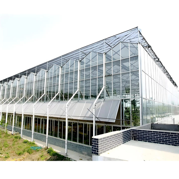 Agricultural commercial greenhouse multi-span greenhouses tomato hydroponic  agricultural glass greenhouse