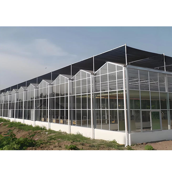 Agricultural commercial greenhouse multi-span greenhouses tomato hydroponic  agricultural glass greenhouse