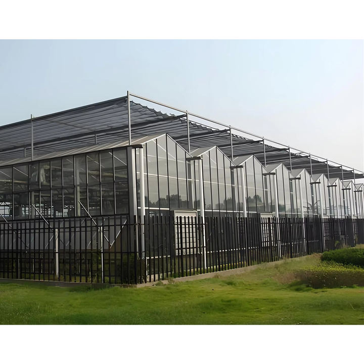 Agricultural commercial greenhouse multi-span greenhouses tomato hydroponic  agricultural glass greenhouse