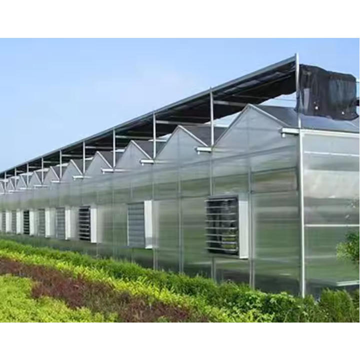 Agricultural commercial greenhouse multi-span greenhouses tomato hydroponic  agricultural glass greenhouse