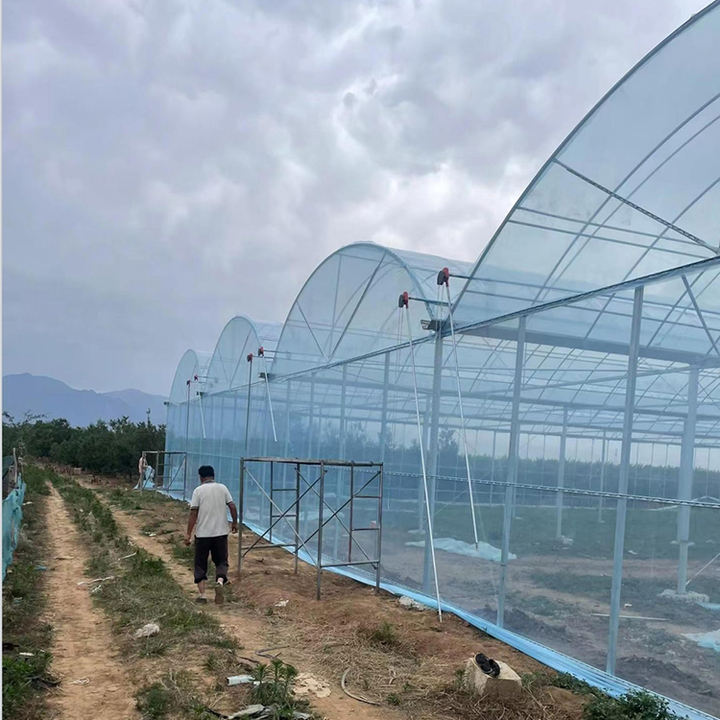 Agricultural greenhouse Ecological breeding greenhouse for vegetable and flower cultivation Multi span Agricultural Greenhouse