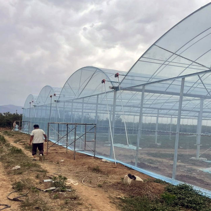 Agricultural multi-span plastic film greenhouses for growing vegetables and flowers are easy to assemble