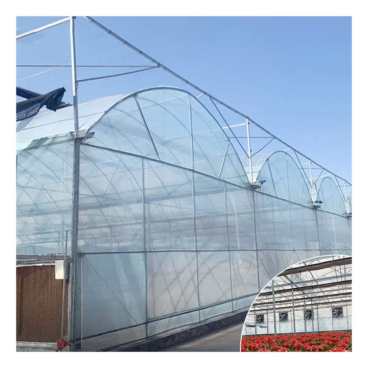 Agricultural multi-span plastic film greenhouses for growing vegetables and flowers are easy to assemble