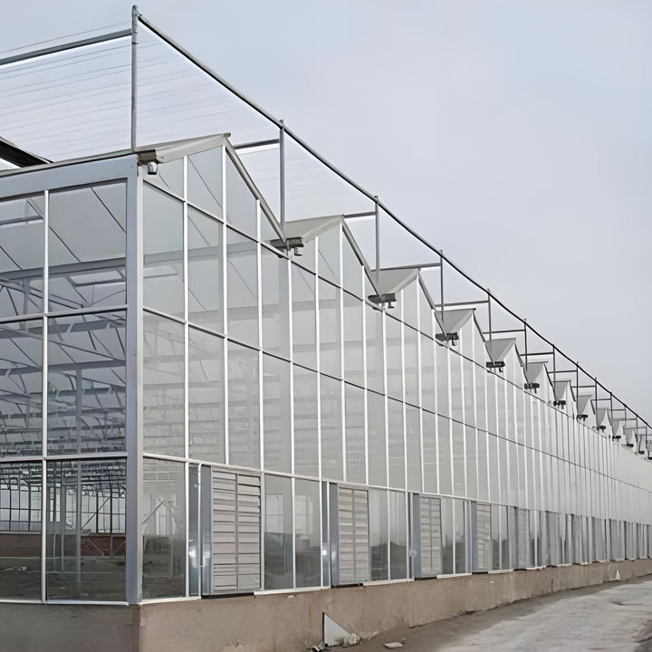 Agriculture Multi Span glass greenhouse   Venlo Glass Greenhouses Ecological Restaurant Vegetable Planting Greenhouse Efficient Manufacturing Outlet