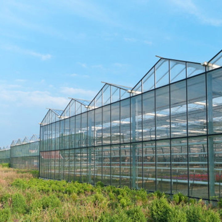 Agriculture Multi Span glass greenhouse   Venlo Glass Greenhouses Ecological Restaurant Vegetable Planting Greenhouse Efficient Manufacturing Outlet