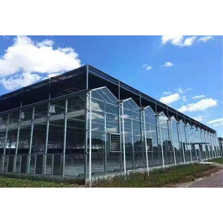 Agriculture Tomato Horticulture Multi Span Green House Metal Frame Venlo Tempered Glass Greenhouses Price Industrial Bulk Supply
