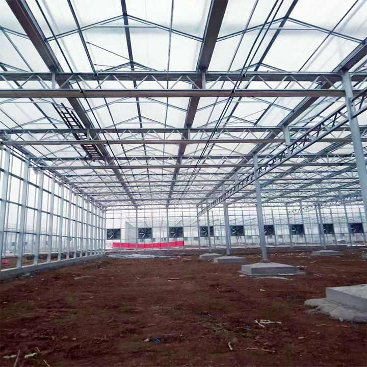 Agriculture Tomato Horticulture Multi Span Green House Metal Frame Venlo Tempered Glass Greenhouses Price Industrial Bulk Supply
