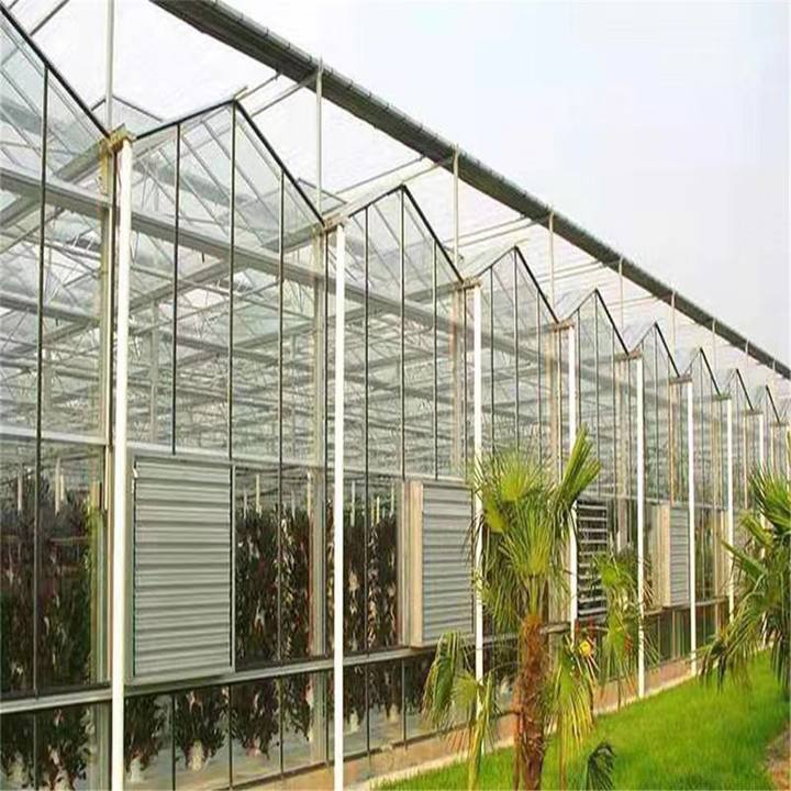 Agriculture Tomato Horticulture Multi Span Green House Metal Frame Venlo Tempered Glass Greenhouses Price Industrial Bulk Supply