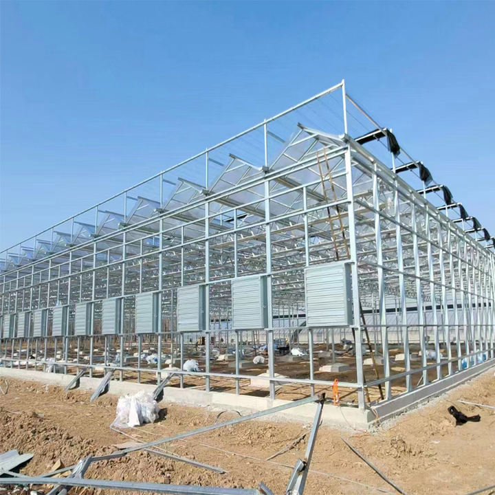 Agriculture Tomato Horticulture Multi Span Green House Metal Frame Venlo Tempered Glass Greenhouses Price Industrial Bulk Supply