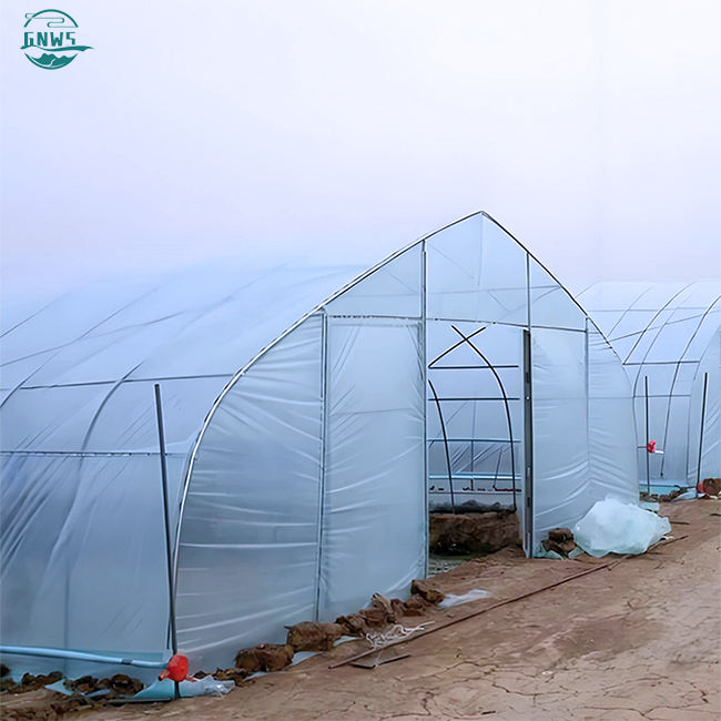 Arched Shed Round Arch Single Shed Plant Growing Greenhouse Design  Plastic Tunnel Single Span Agricultural Greenhouse