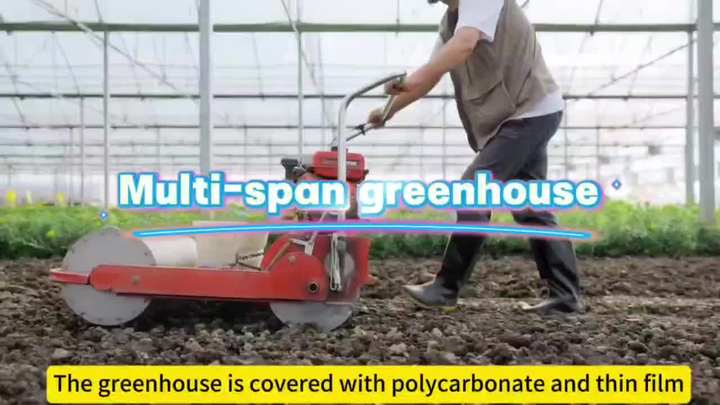 China UV Film single/double layer Multi-span Plastic Film Sawtooth Greenhouse  Manufacture Supplier Green house For Sale