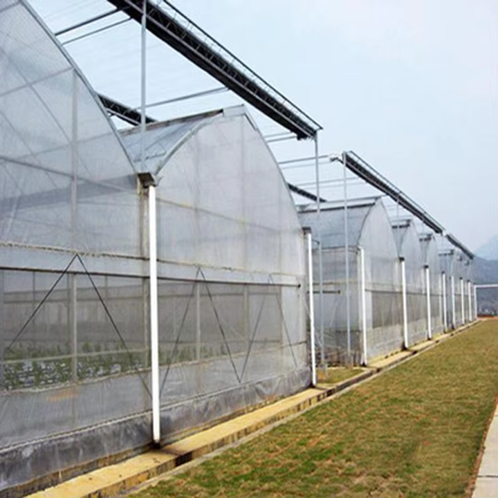 China UV Film single/double layer Multi-span Plastic Film Sawtooth Greenhouse  Manufacture Supplier Green house For Sale Bulk Supply
