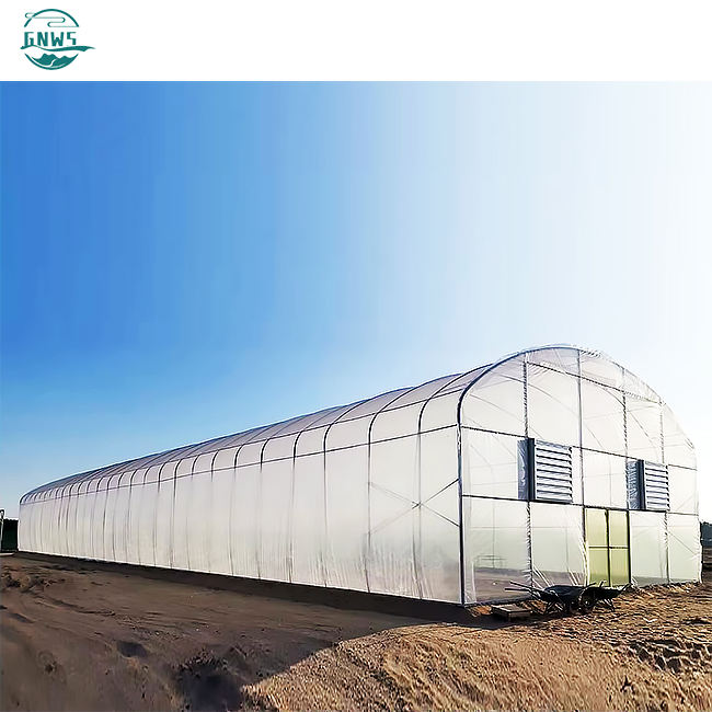 Commercial Green Houses Agriculture Frame Small Greenhouse For Agriculture Low Cost Tunnel Greenhouse Plants