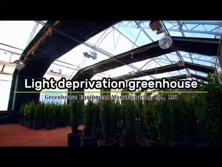 Commercial Green Houses pe Agriculture Frame Light Deprivation Small Greenhouse For Agriculture Low Cost Tunnel Greenhouse