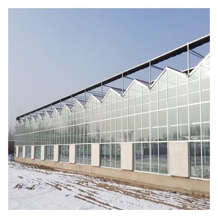 Commercial Hydroponic Glass/Pc Sheet photovoltaic Multi span Greenhouse with Tomato Growing System Large Discount Wholesale Direct