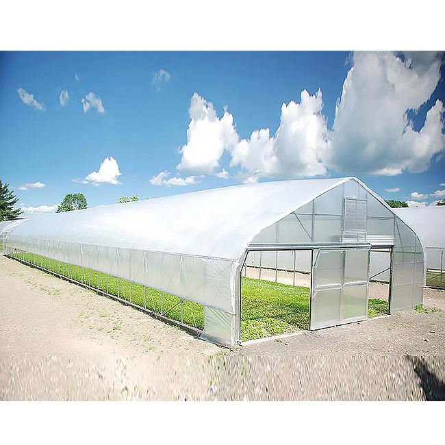 Commercial Manufacturing Greenhouse  Film Single-span Tunnel Greenhouse For Tomato planting greenhouse