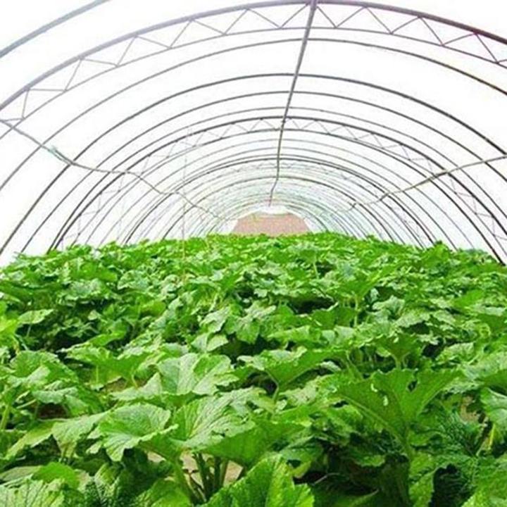 Commercial Tunnel Hydroponic Systems Single-span Greenhouses Equipment For seeding breeding  Single-span Greenhouses Bulk Wholesale