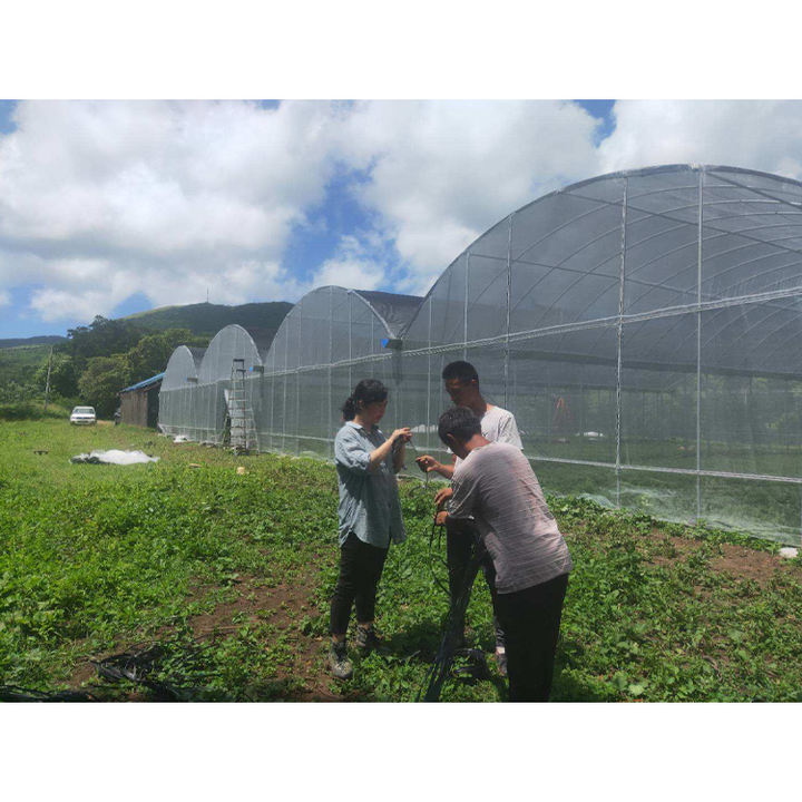 Continuous thin film greenhouse of vegetables, fruits, and melons in a continuous film greenhouse