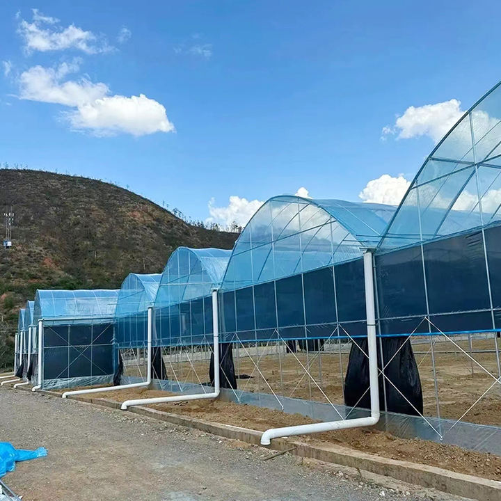 Continuous thin film greenhouse of vegetables, fruits, and melons in a continuous film greenhouse