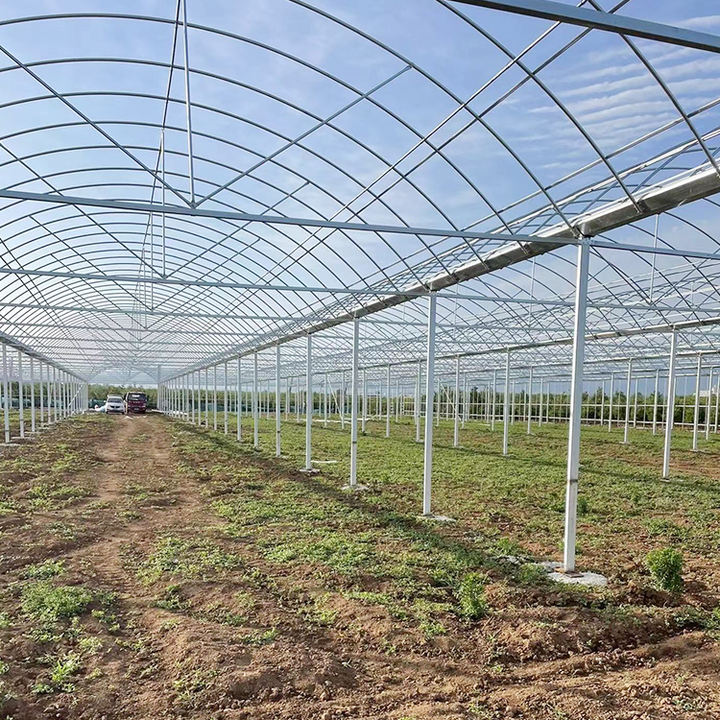 Continuous thin film greenhouse of vegetables, fruits, and melons in a continuous film greenhouse