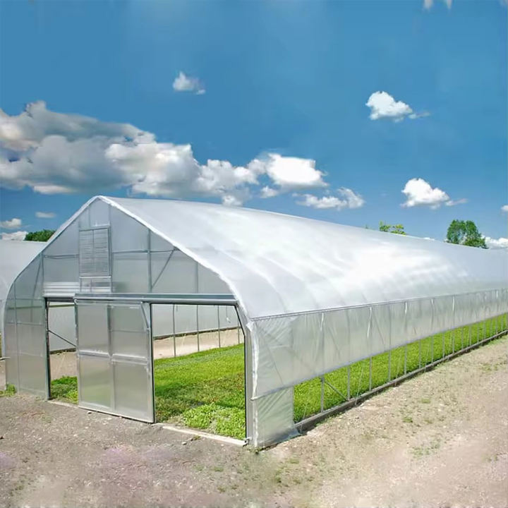 Easily Assembled agricultural Single span thin film Garden Green house for flower and seed Low cost tunnel greenhouse Factory Direct Sales Chain