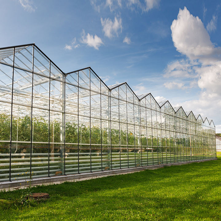 Full Automation  Large Multi Span Agriculture Glass Green House Commercial Tropical Agricultural Sawtooth greenhouse B2B Factory Pricing Processing