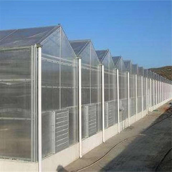 Full Automation  Large Multi Span Agriculture Glass Green House Commercial Tropical Agricultural Sawtooth greenhouse B2B Factory Pricing Processing