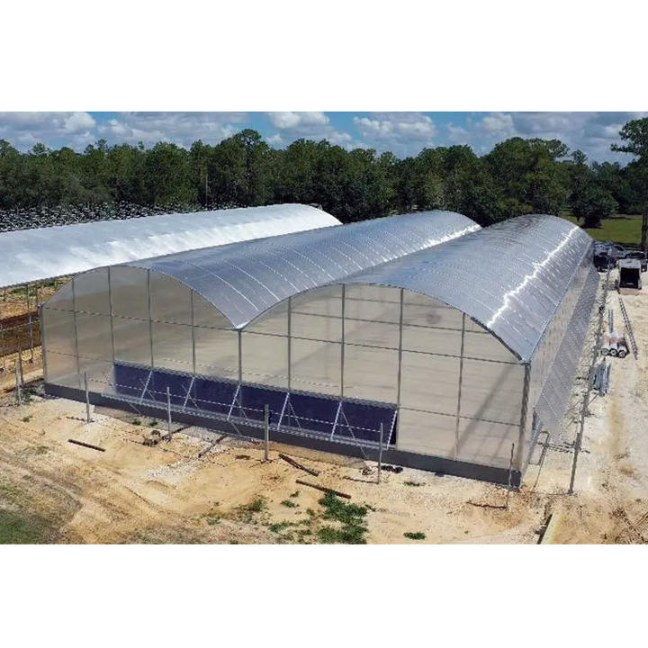 Galvanized Steel Frame Single Span Pe Film Greenhouse For Agriculture Low Cost Tunnel Greenhouse For Flowers Plant