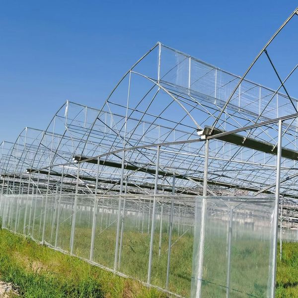 Galvanized Steel Frame Single Span Pe Film Greenhouse For Agriculture Low Cost Tunnel Greenhouse For Flowers Plant