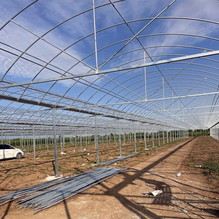 Galvanized Steel Frame Single Span Pe Film Greenhouse For Agriculture Low Cost Tunnel Greenhouse For Flowers Plant