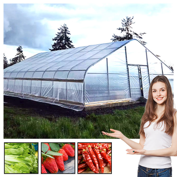 Galvanized Steel Low Cost Tunnel Frame Single Span Pe Film Greenhouse Greenhouse Agricole For Flowers Plant Private Label Manufacturing Bulk Orders